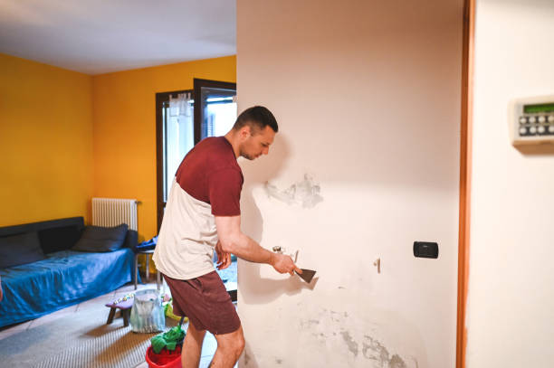 Best Industrial Mold Remediation in Los Ranchos De Albuquerque, NM