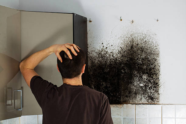Best Bathroom Mold Remediation in Los Ranchos De Albuquerque, NM